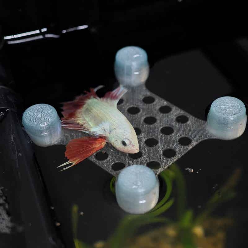 Aquarium Fish Escape - Betta Fish Rest Bed Suction Cup