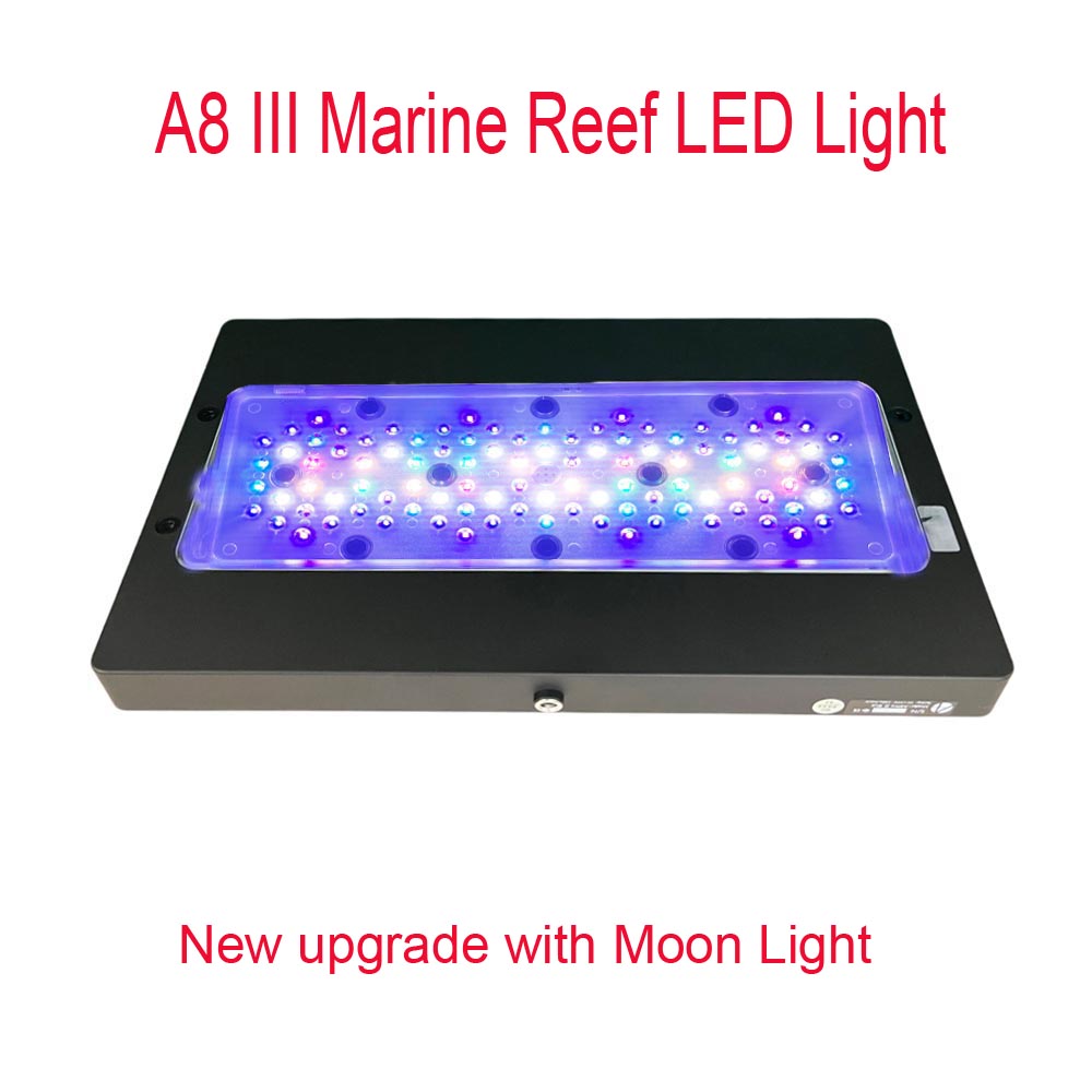 Aquarium Fish Marine - A8 III Moon light Powerful Marine