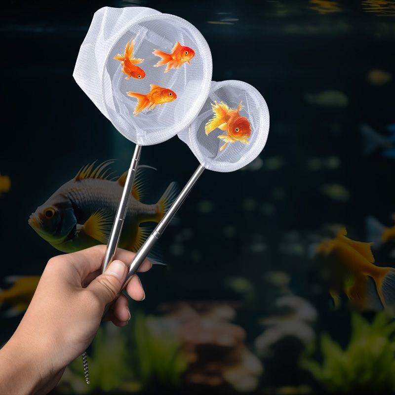 (BF06)Aquarium Fish Fishing Ne - Aquarium Fish Net Small 评论和价格