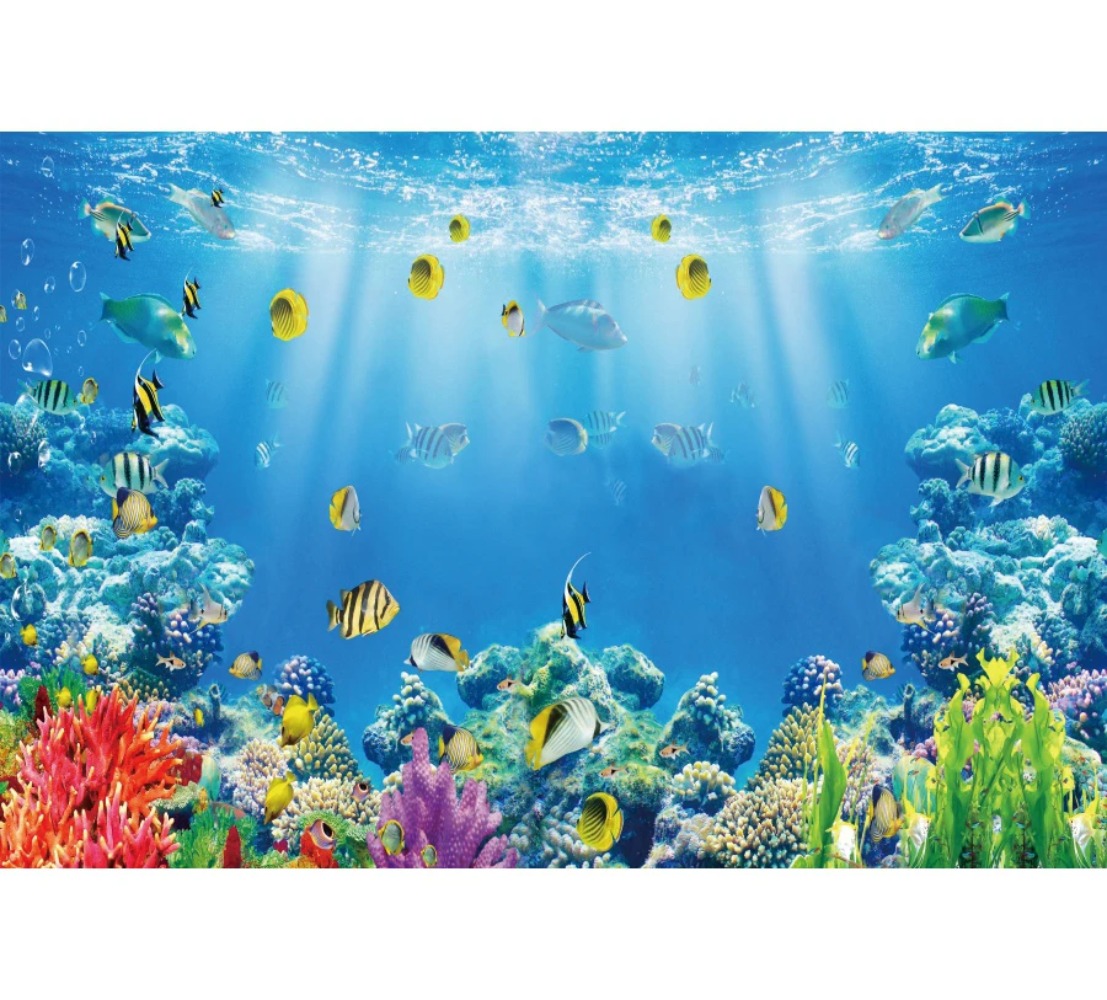 Underwater World Fish Coral Aq - Aquarium Fish World 评论和价格