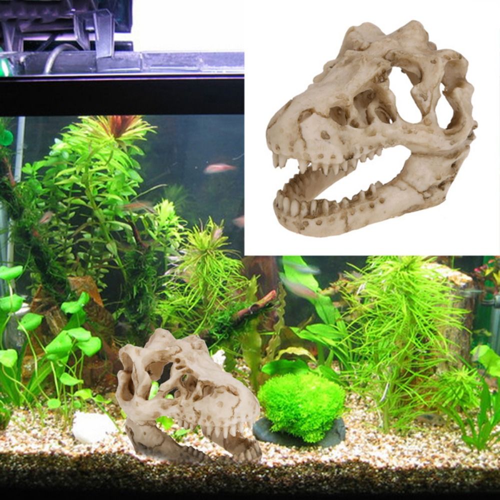 Creative Simulation Dinosaur S - Aquarium Fish Escape 评论和价格
