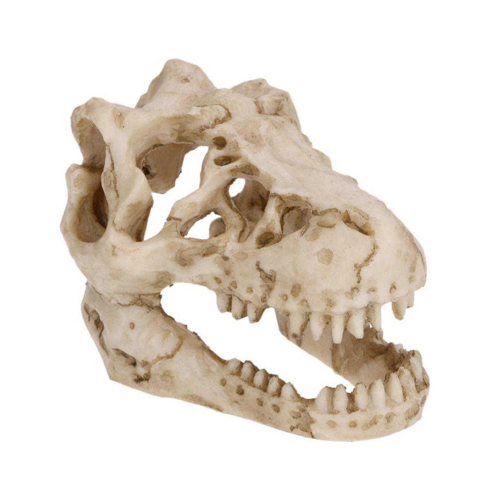 Creative Simulation Dinosaur S - Aquarium Fish Escape 评论和价格