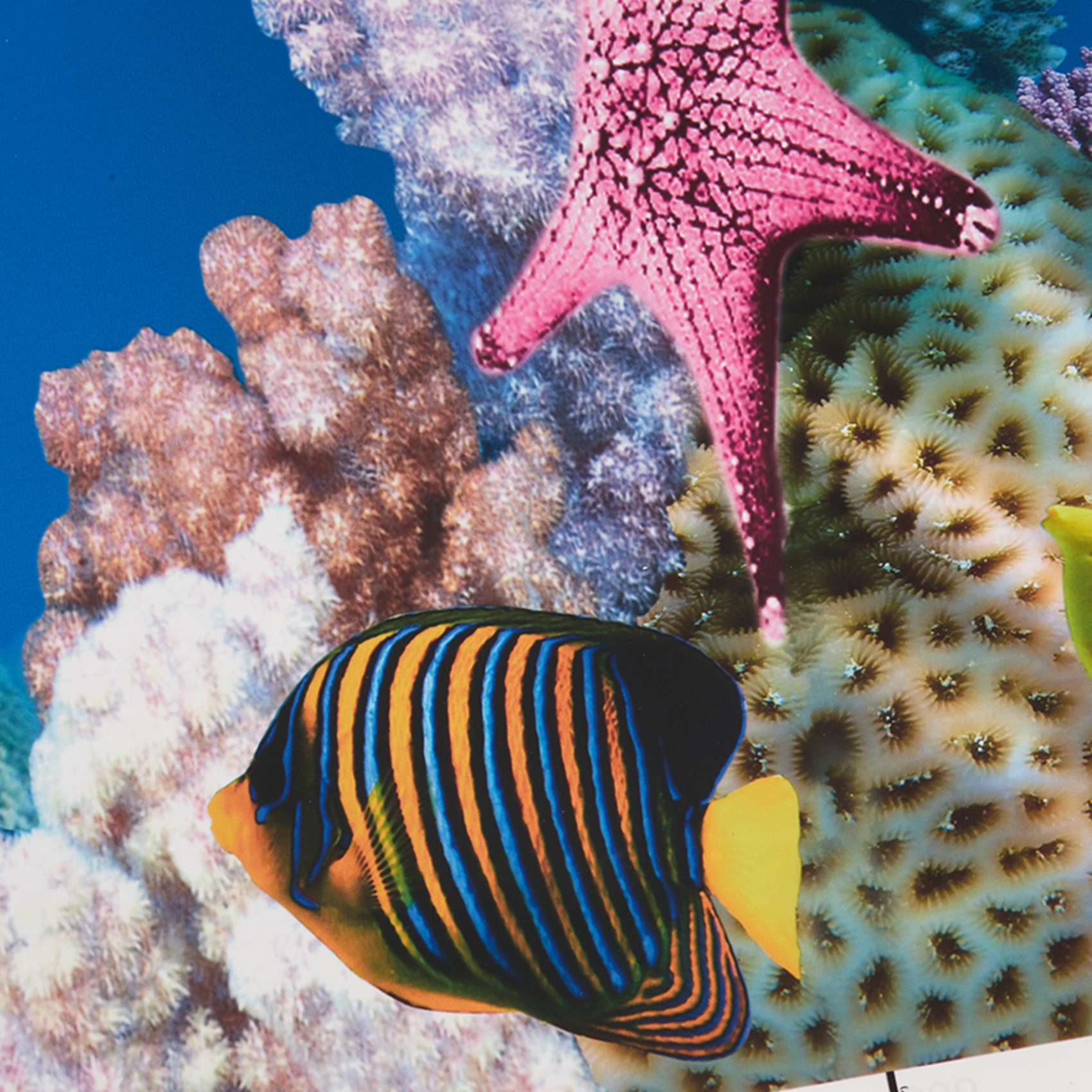 AB33-Aquarium Background Paper - Aquarium Fish Wallpaper Hd 评论和价格