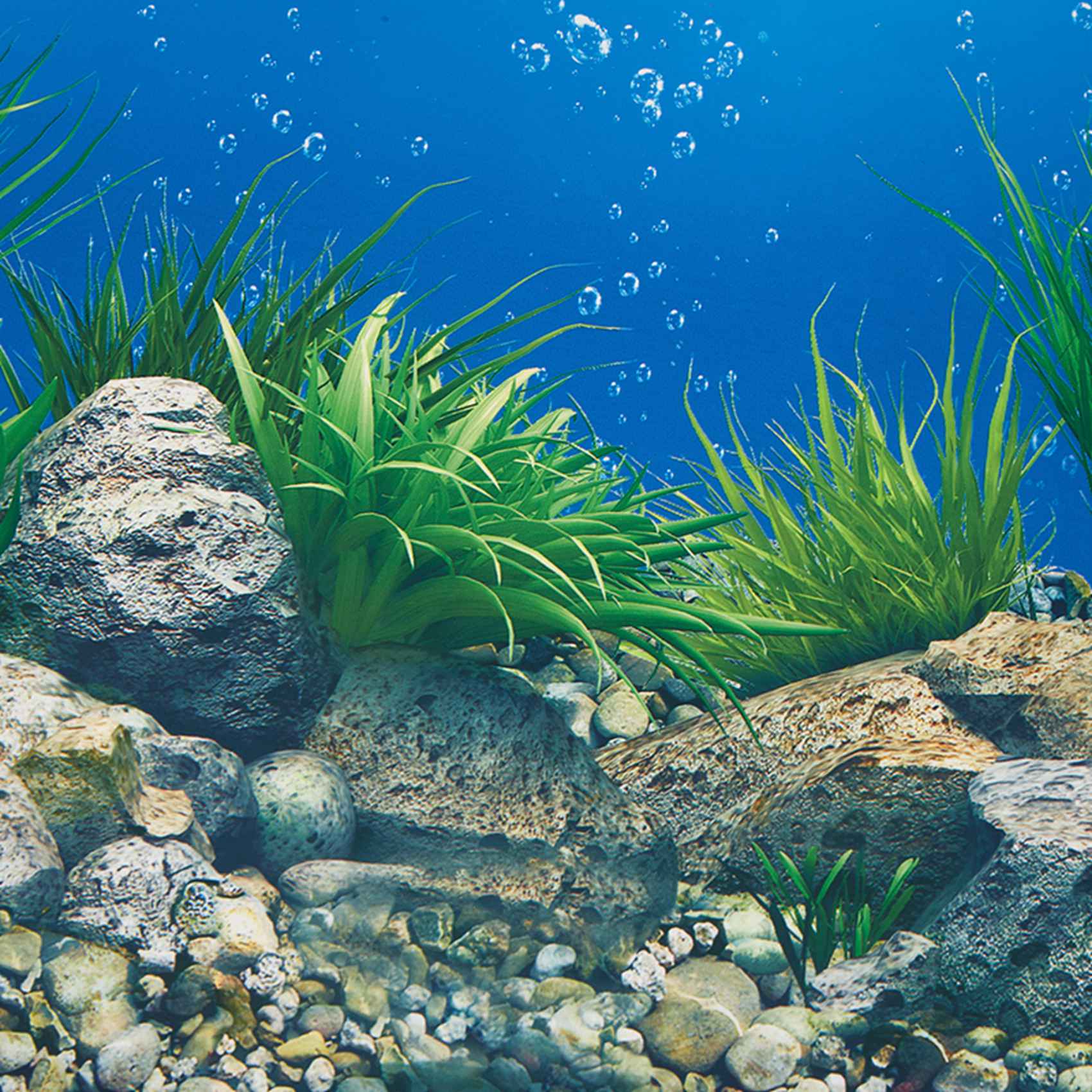ABWR-Aquarium Background Paper - Aquarium Fish Wallpaper Hd 评论和价格