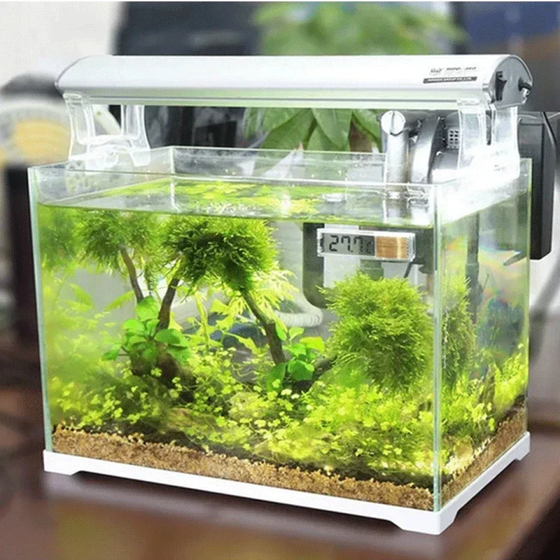 Aquarium Thermometer Electroni - Aquarium Fish Uk 评论和价格