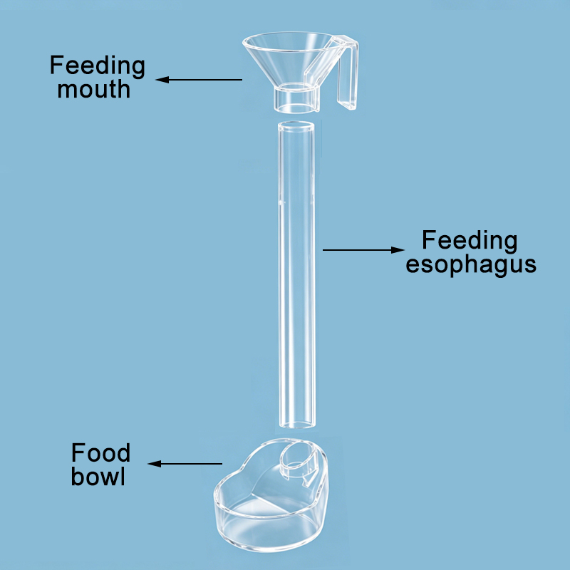 Acrylic Aquarium Fish Feeder T - Aquarium Xxl 评论和价格