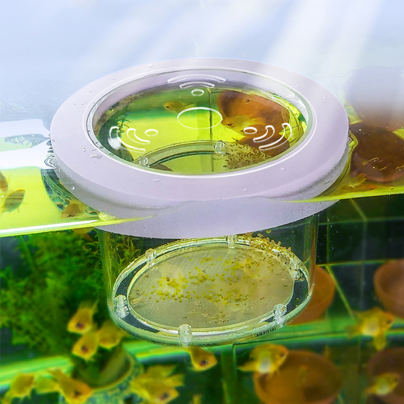 Suspended Fish Tank Breeding I - Aquarium Fish Jar 评论和价格
