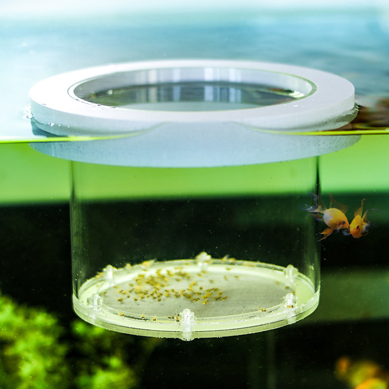 Suspended Fish Tank Breeding I - Aquarium Fish Jar 评论和价格