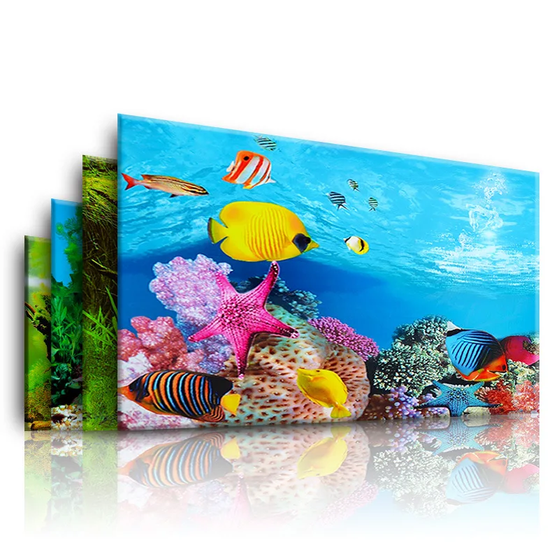 Background for Aquarium 3d  St - Aquarium Fish Poster 评论和价格