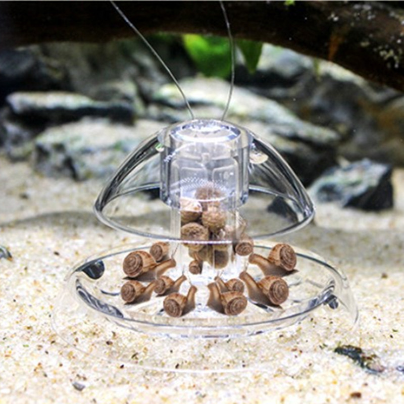 1PCS Fish Tank Aquarium Cleane - Aquarium Fish Escape 评论和价格