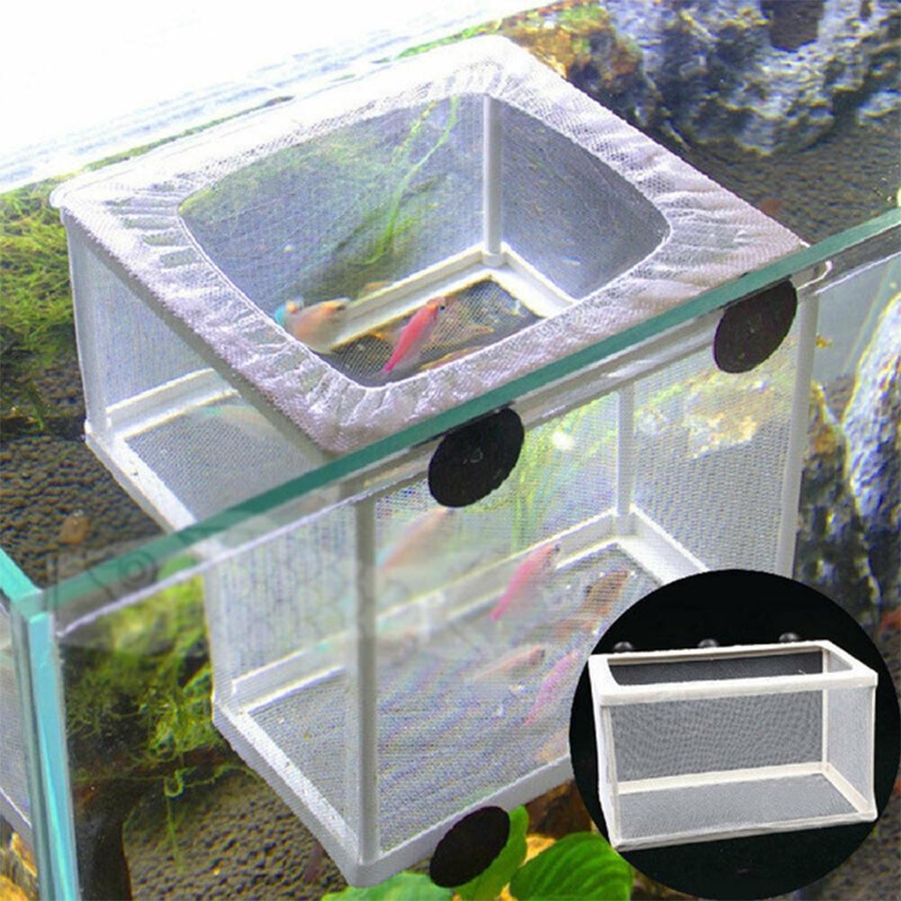 Aquarium Fish Breeder Box with - Aquarium Fish Jar 评论和价格