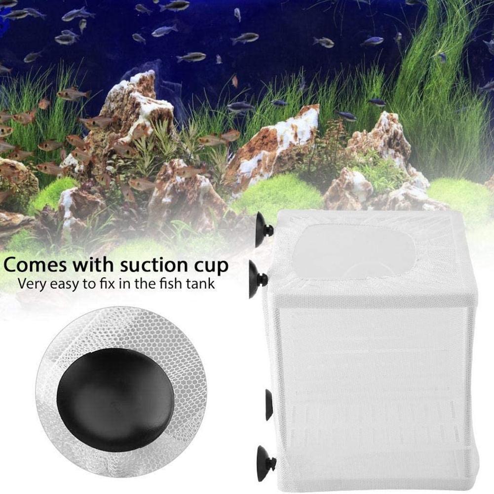 Aquarium Fish Breeder Box with - Aquarium Fish Jar 评论和价格