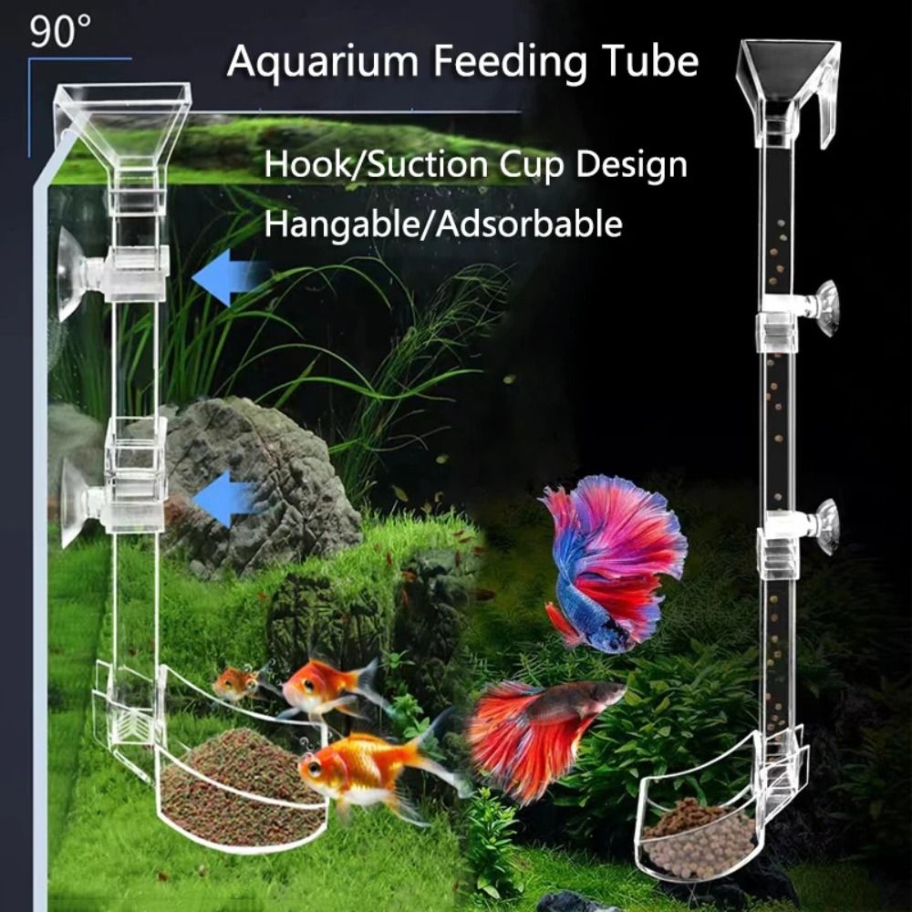 New Transparent Aquarium Fish  - Aquarium Fish Jar 评论和价格