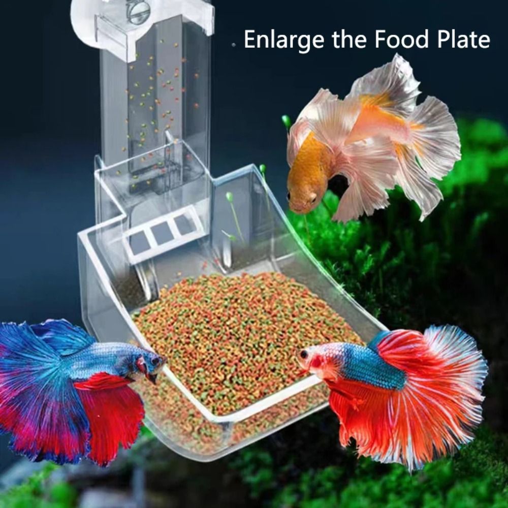 New Transparent Aquarium Fish  - Aquarium Fish Jar 评论和价格