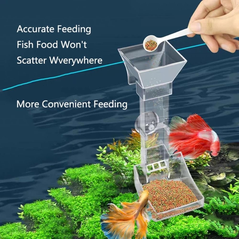 New Transparent Aquarium Fish  - Aquarium Fish Jar 评论和价格