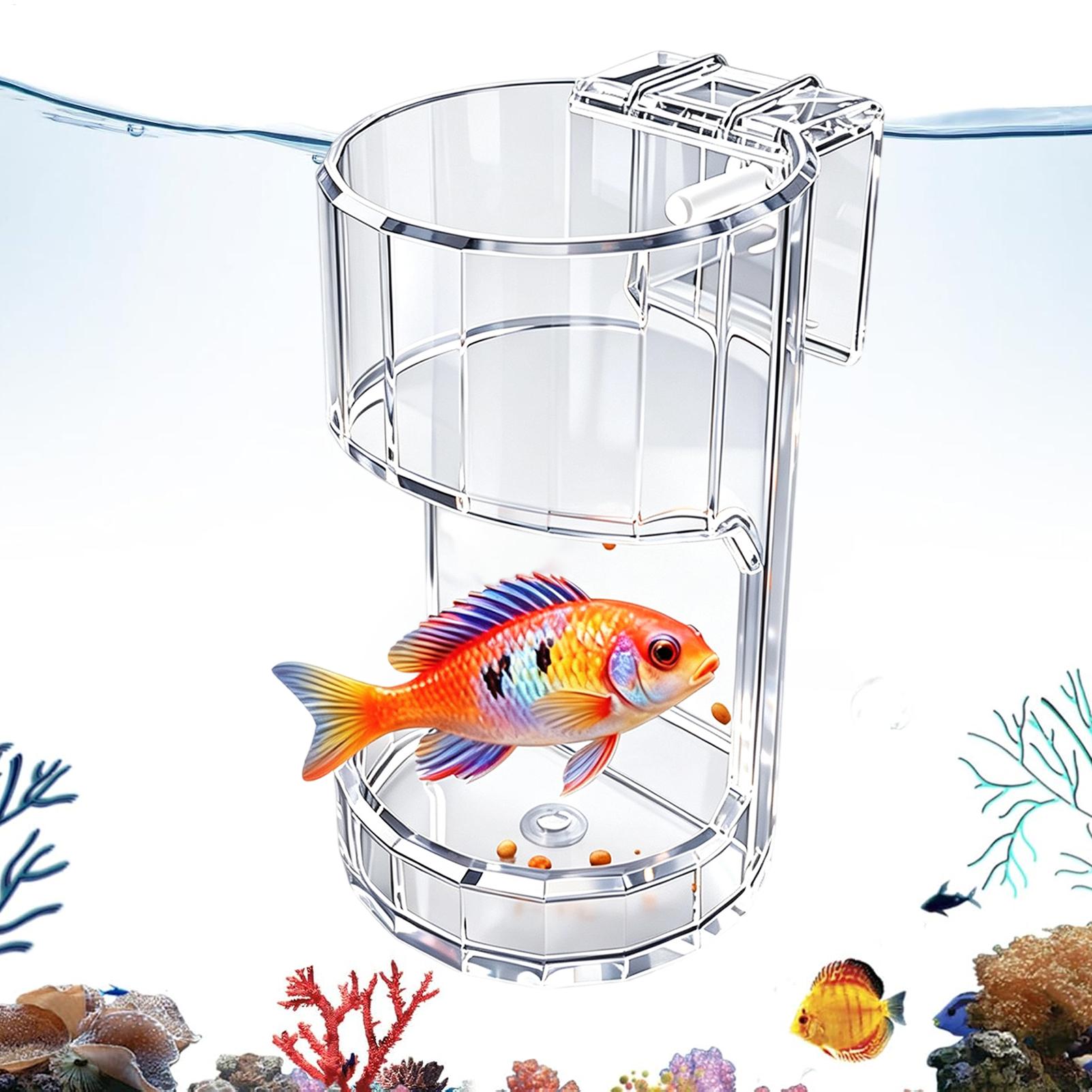 Aquarium Feeding Dish Transpar - Aquarium Fish Jar 评论和价格