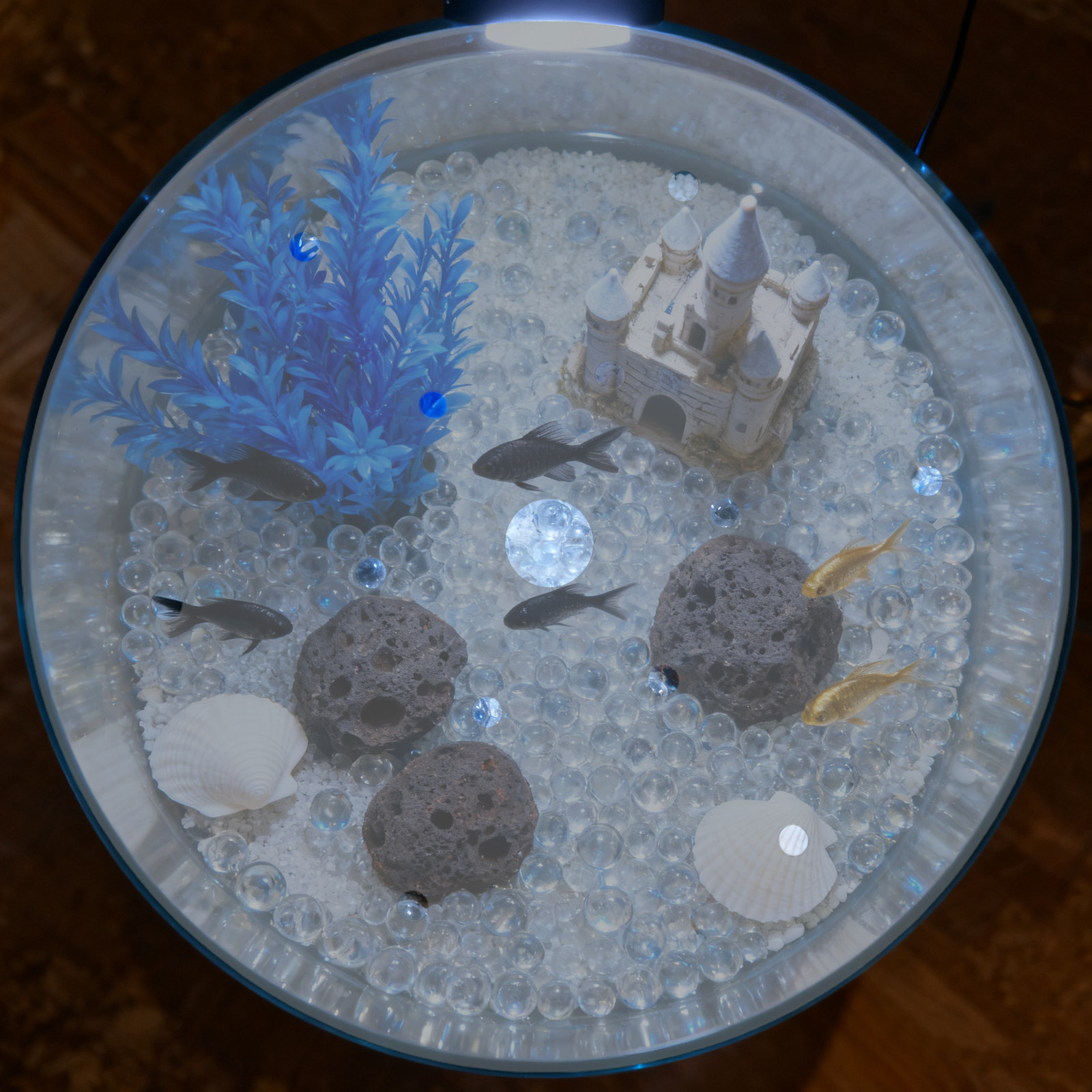 Acrylic Round Fish Tank Lid Co - Aquarium Fish Escape 评论和价格
