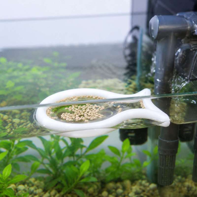 Fish Shaped Floating Feeding R - Aquarium Fish Escape 评论和价格