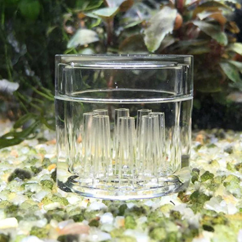 High Transparent  Aquarium Fis - Aquarium Fish Escape 评论和价格