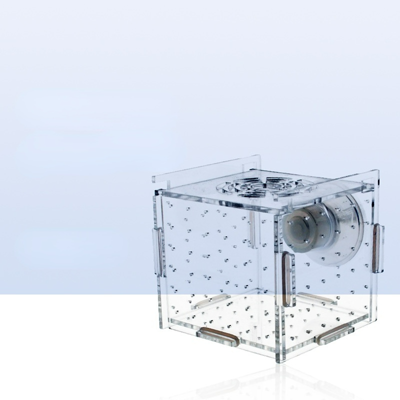 Acrylic Isolation Box Fish Tan - Aquarium Fish Net Small 评论和价格