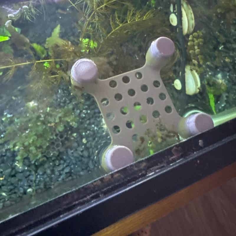Betta Fish Rest Bed Suction Cu - Aquarium Fish Escape 评论和价格