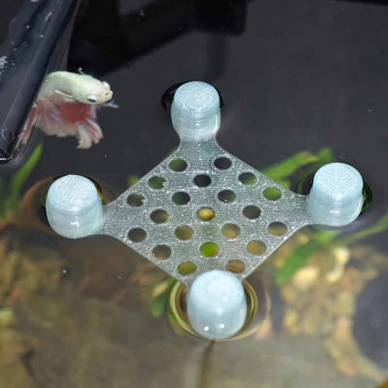 Betta Fish Rest Bed Suction Cu - Aquarium Fish Escape 评论和价格