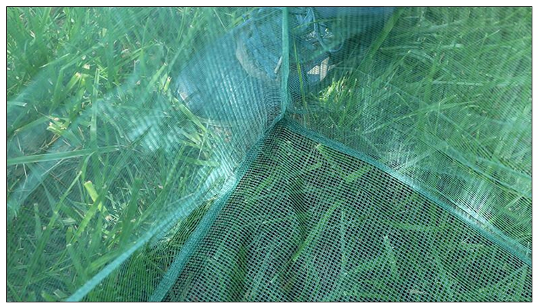 Fishing 3mm Stake Small Mesh C - Aquarium Fish Net Small 评论和价格