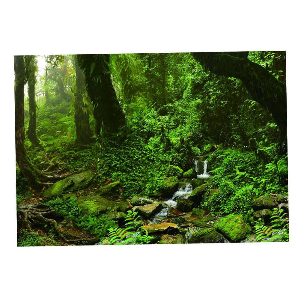 Aquarium Backdrop Poster Vivid - Aquarium Fish Poster 评论和价格