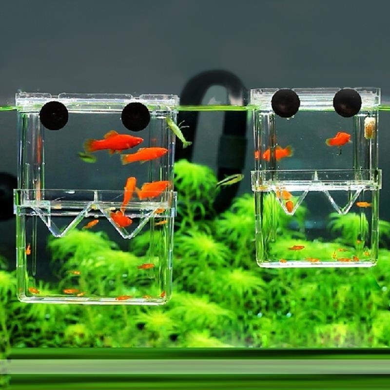 Multifunctional Fish Aquarium  - Aquarium Fish Jar 评论和价格