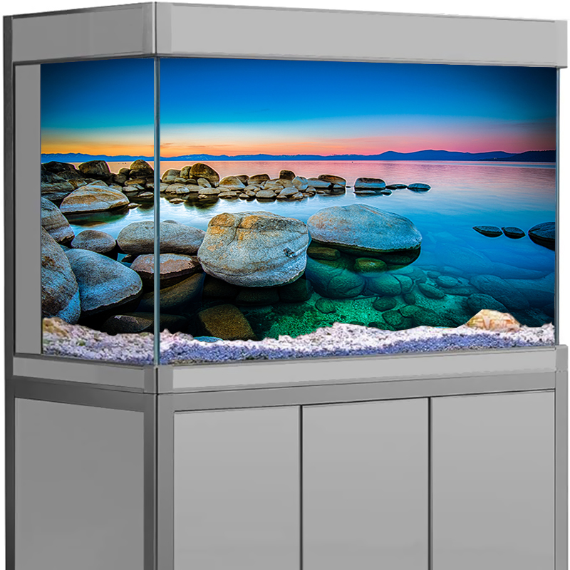Aquarium Background Sticker St - Aquarium Fish Poster 评论和价格