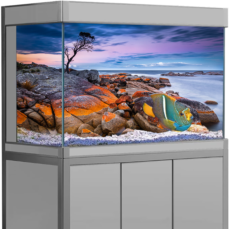 Aquarium Background Sticker St - Aquarium Fish Poster 评论和价格