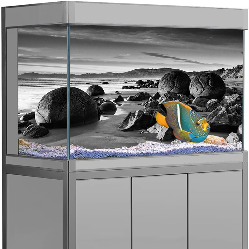 Aquarium Background Sticker St - Aquarium Fish Poster 评论和价格