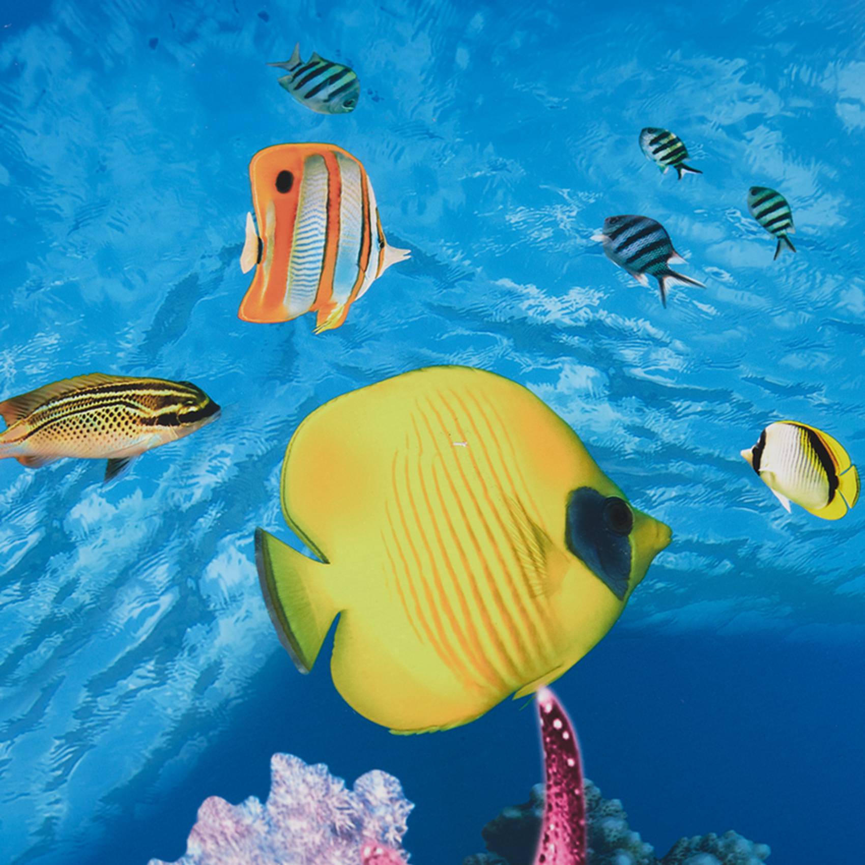 BAAU Aquarium Background Paper - Aquarium Fish Wallpaper Hd 评论和价格