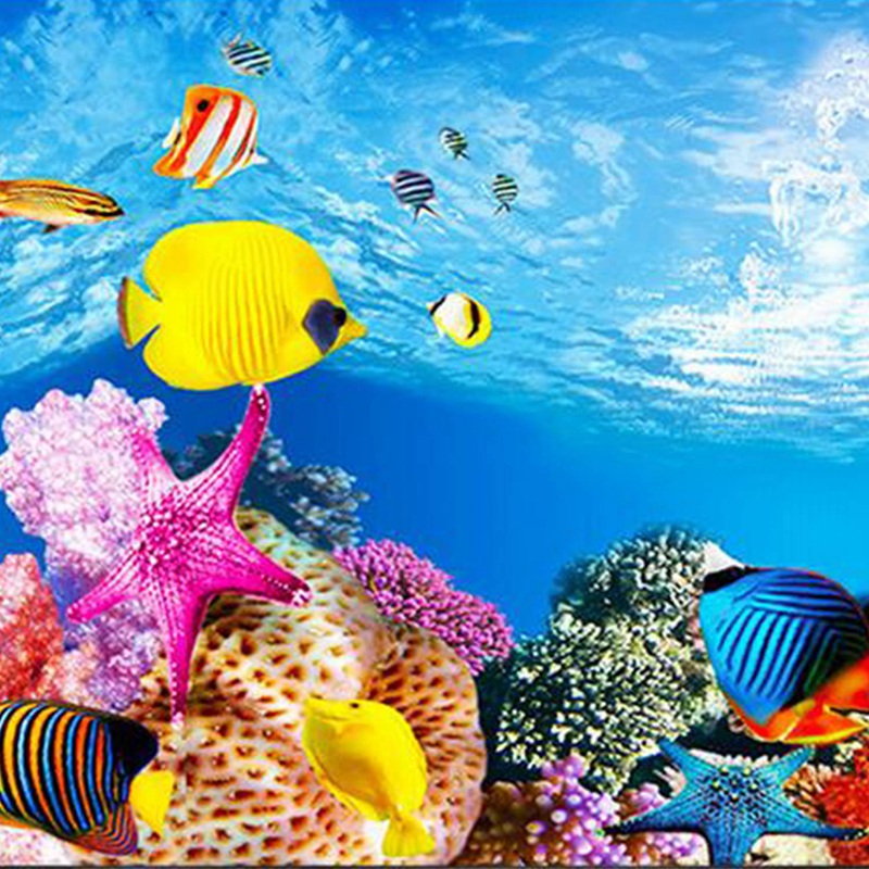 BAAU Aquarium Background Paper - Aquarium Fish Wallpaper Hd 评论和价格