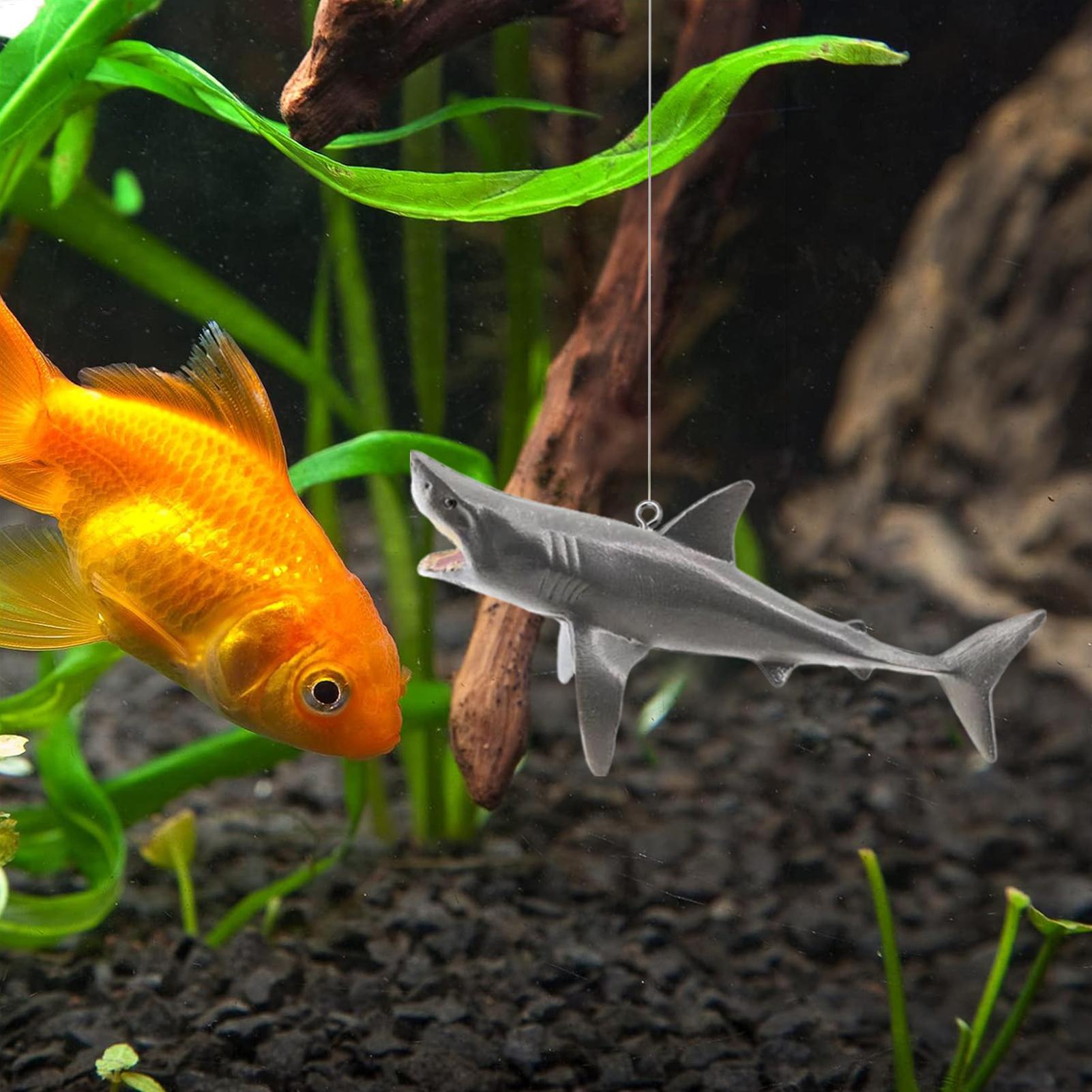 Floating Shark Aquarium Landsc - Aquarium Fish Escape 评论和价格