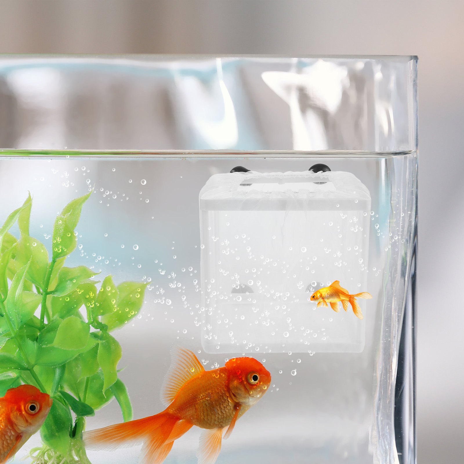 2Pcs Fish Breeding Isolation B - Aquarium Fish Net Small 评论和价格