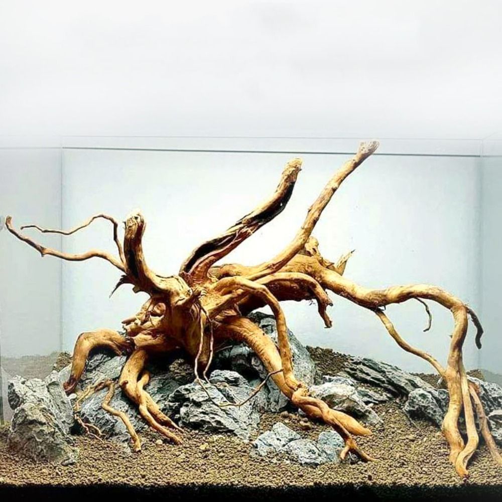 20-25CM Large Aquarium Driftwo - Aquarium Xxl 评论和价格