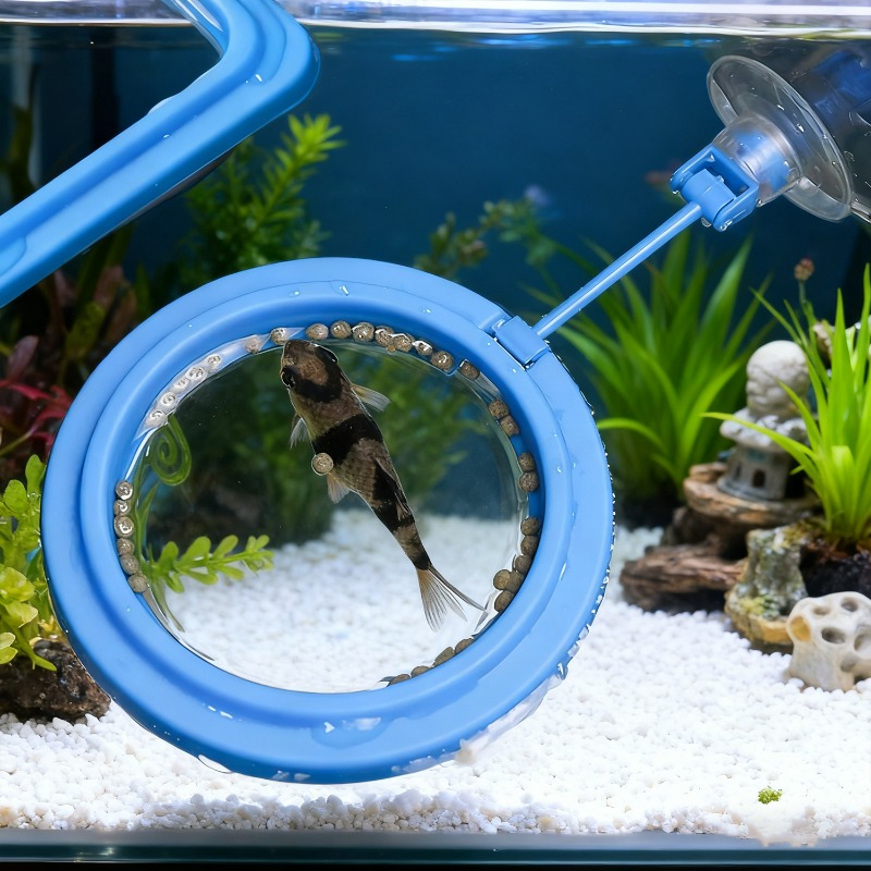 Aquarium Fish Tank Feeding Rin - Aquarium Fish Escape 评论和价格