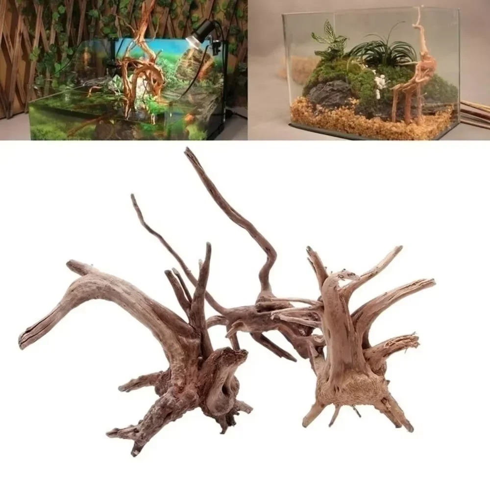 （15-20cm） Natural Driftwood Aq - Aquarium Fish Guppy 评论和价格