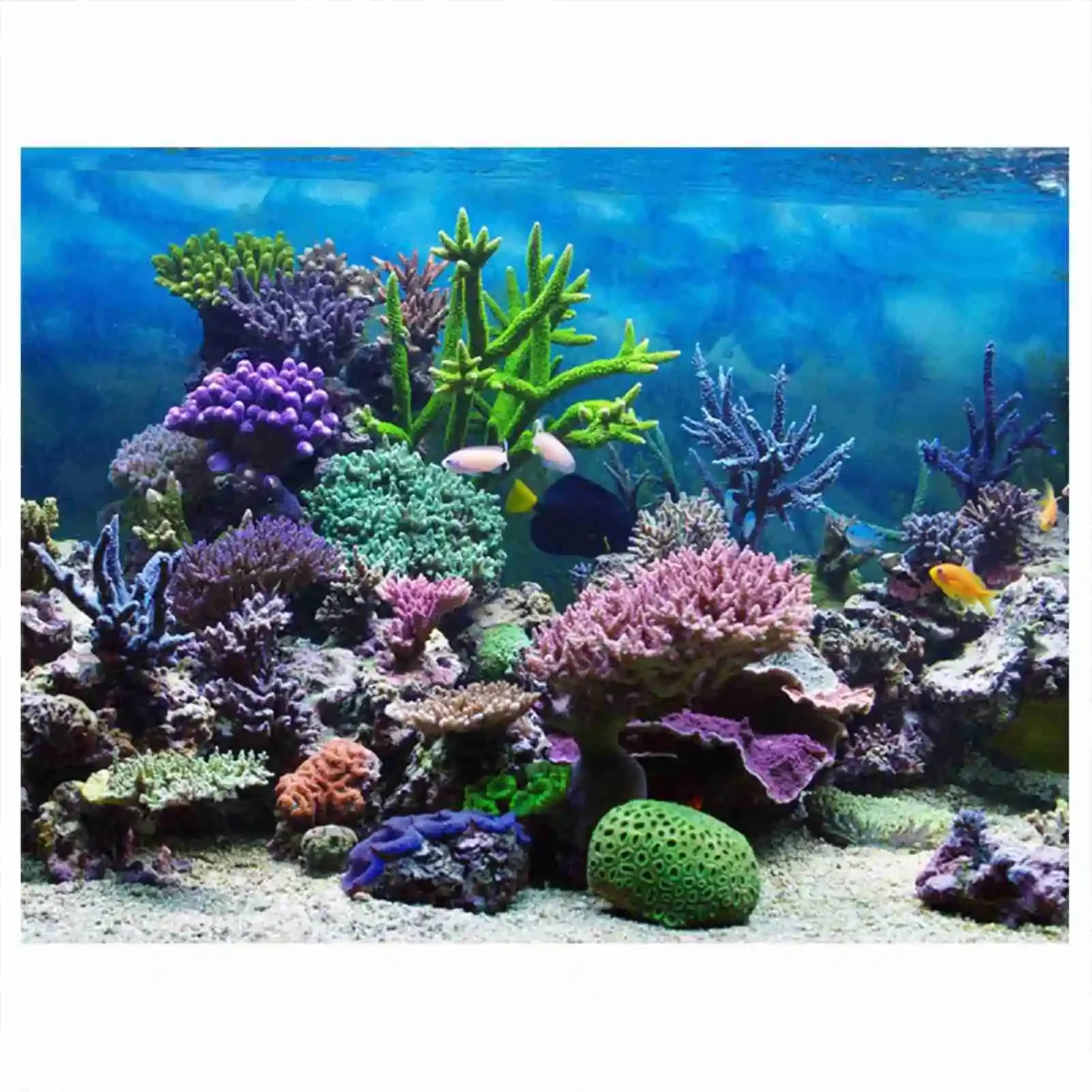 3D Aquarium Landscape Poster R - Aquarium Fish Wallpaper Hd 评论和价格