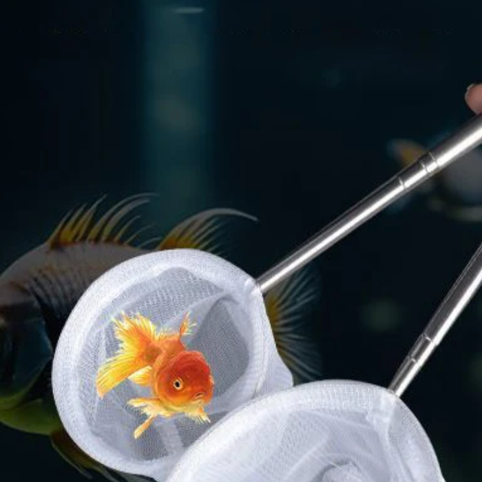Aquarium Fish Fishing Net Stai - Aquarium Fish Net Small 评论和价格