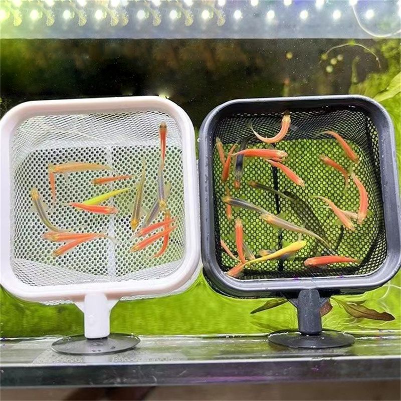 AquariumFish Fishing Net Stain - Aquarium Fish Net Small 评论和价格