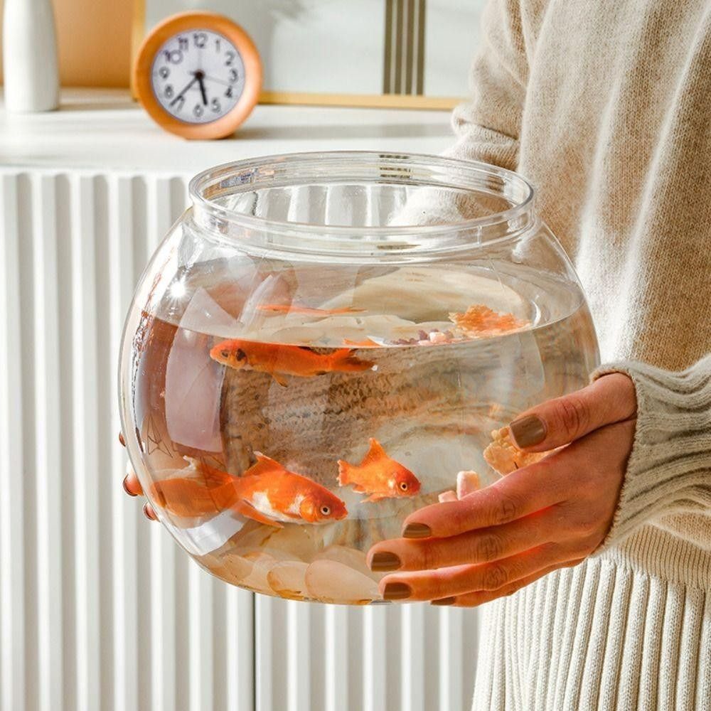 New Transparent Fish Tank Roun - Aquarium Fish Jar 评论和价格