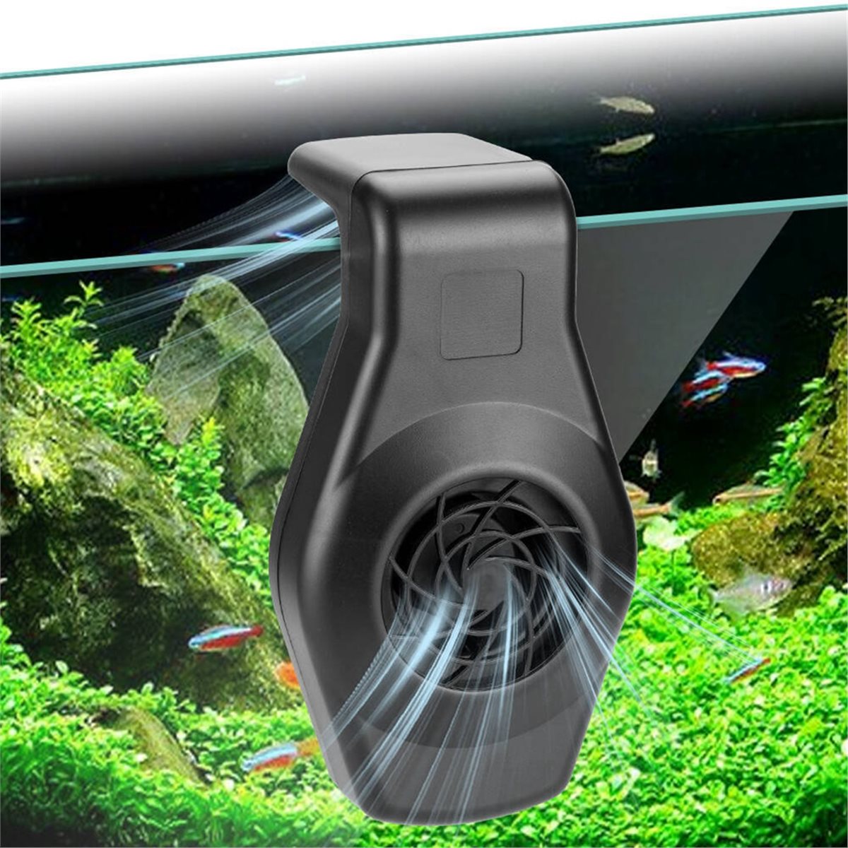 Big Discount Mini Aquarium Chi - Aquarium Fish Uk 评论和价格