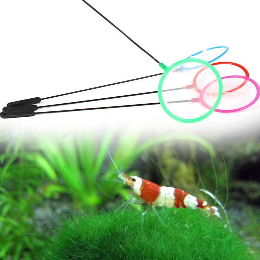 1/5/10pc Colorful Aquarium Fis - Aquarium Fish Net Small 评论和价格