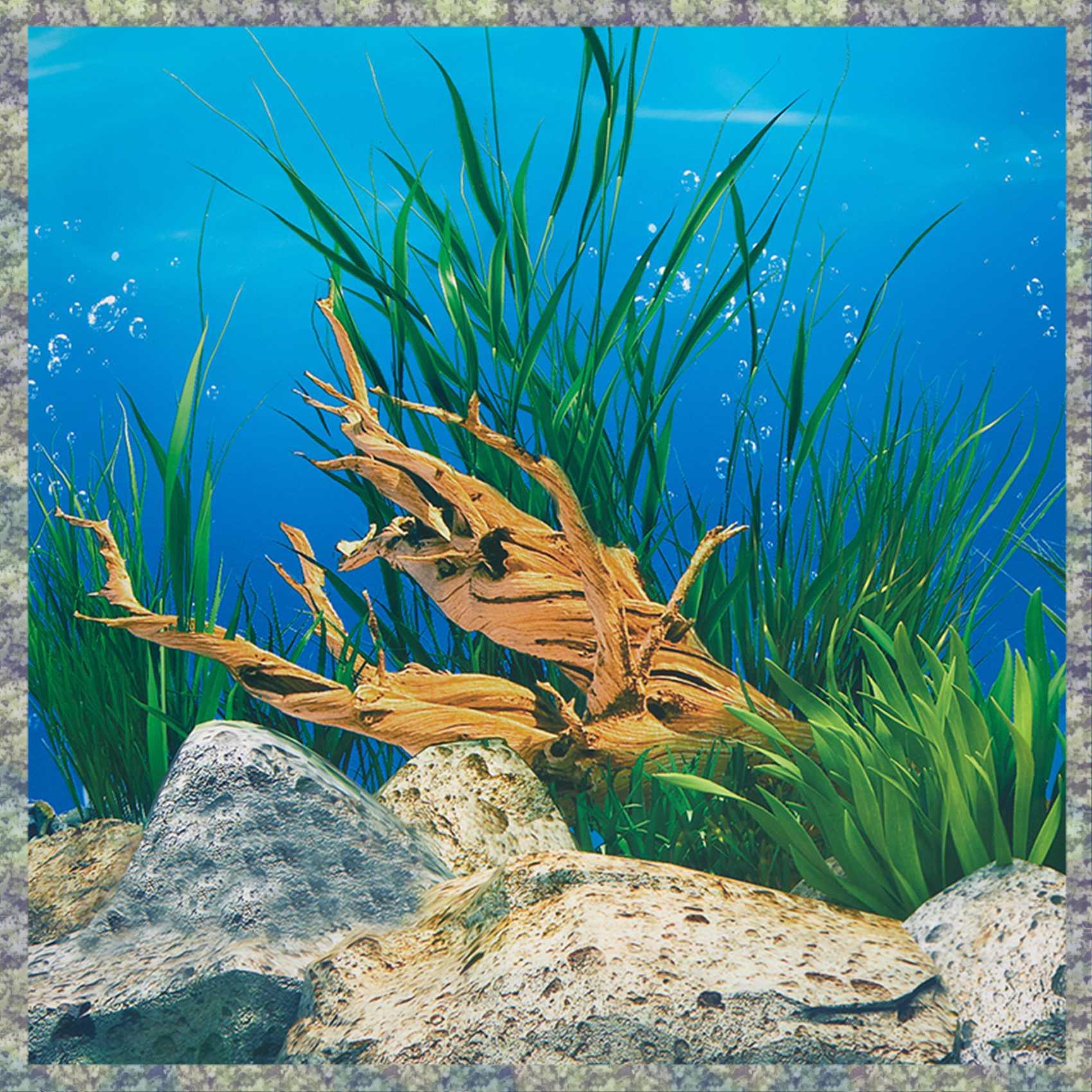 WON Aquarium Background Paper  - Aquarium Fish Wallpaper Hd 评论和价格