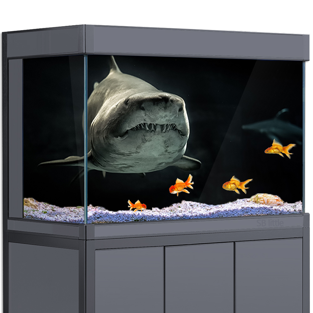 Aquarium Background 3D Shark B - Aquarium Fish Wallpaper Hd 评论和价格